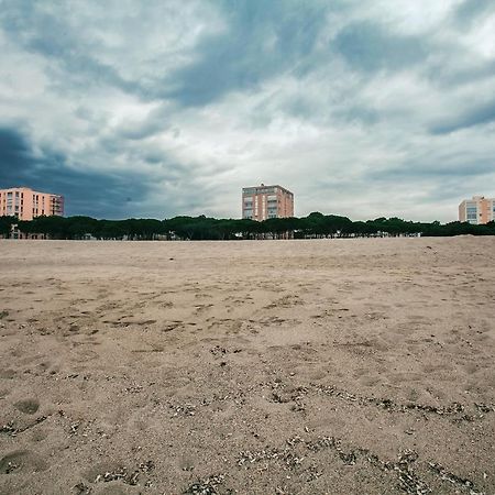 Studio Les Pieds Dans L'Eau Argeles Sur Mer Buitenkant foto