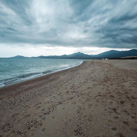 Studio Les Pieds Dans L'Eau Argeles Sur Mer Buitenkant foto