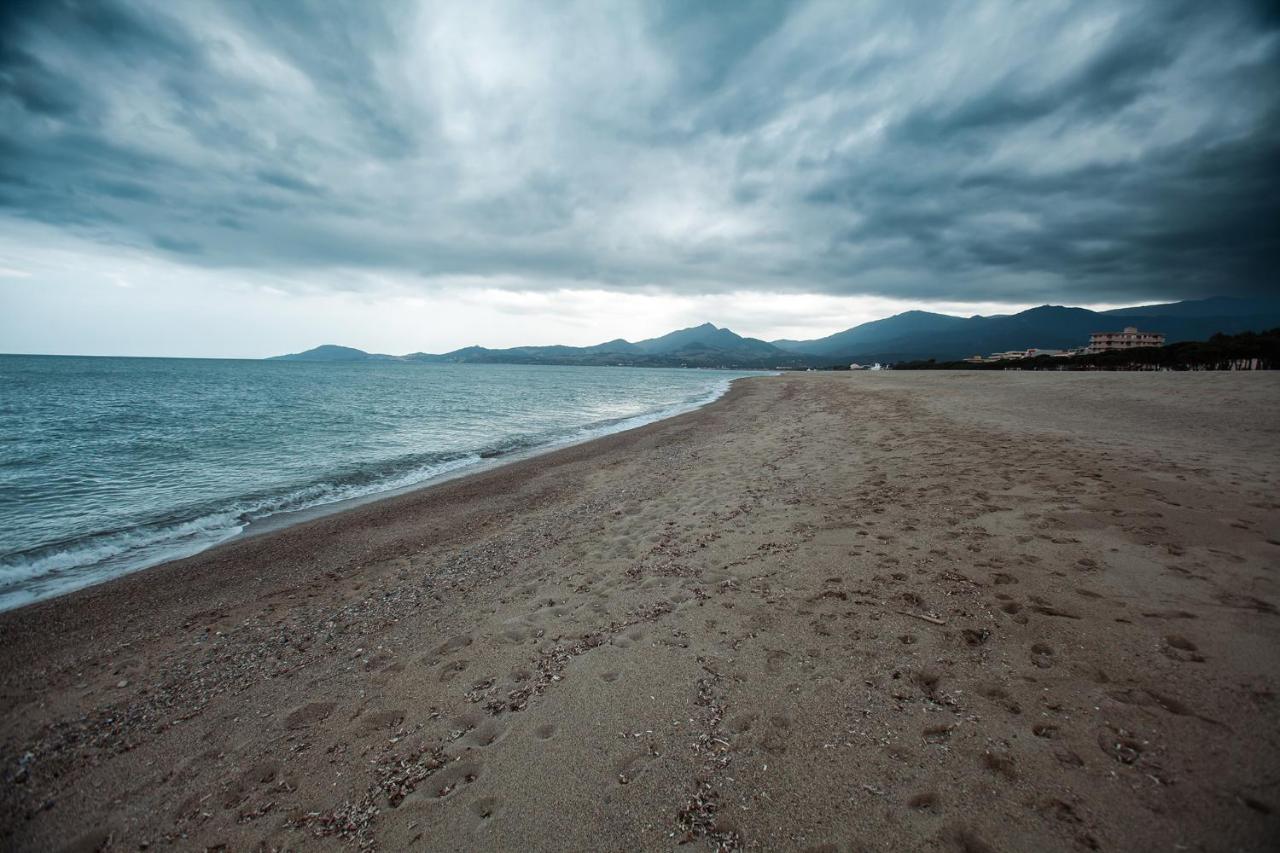 Studio Les Pieds Dans L'Eau Argeles Sur Mer Buitenkant foto